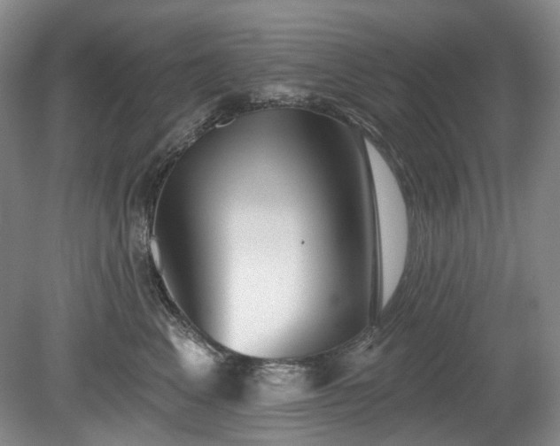 X0000079580617200612081537
