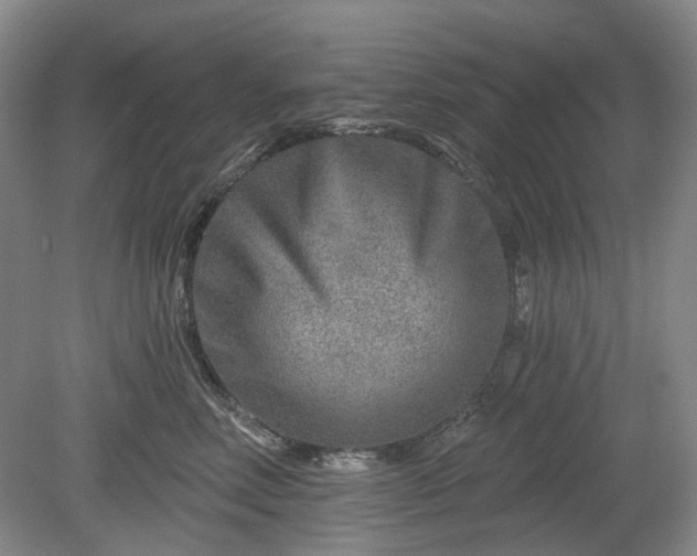 X0000079580618200612081537