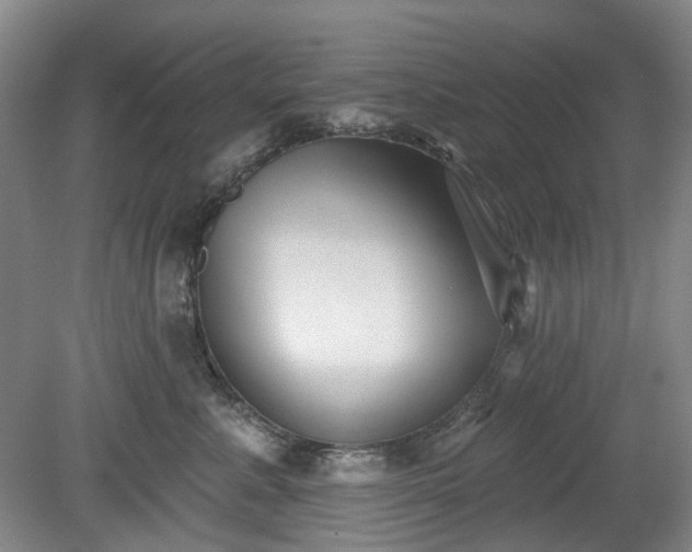 X0000079580619200612081537