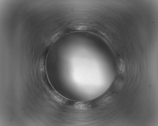 X0000079580620200612081537