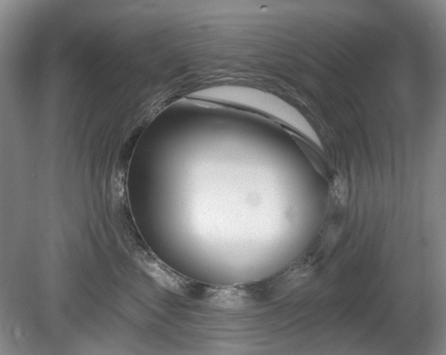 X0000079580621200612081537