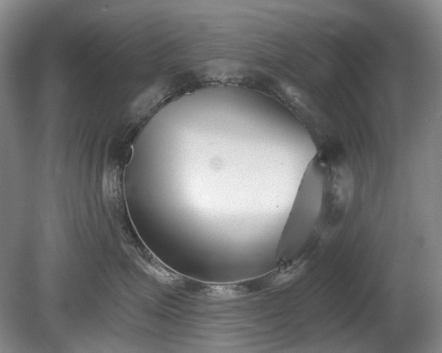 X0000079580623200612081537