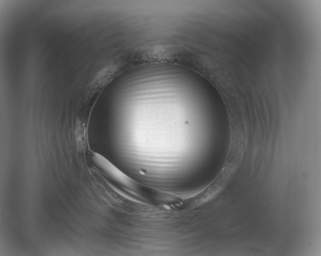 X0000079580624200612081537