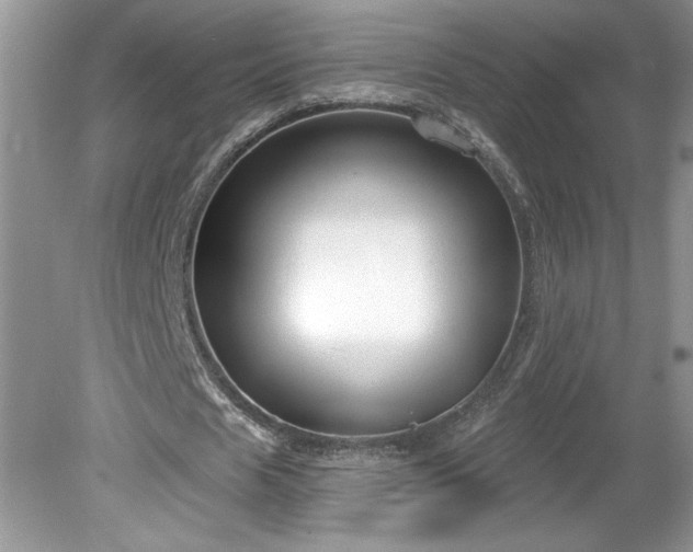 X0000079580625200612081536