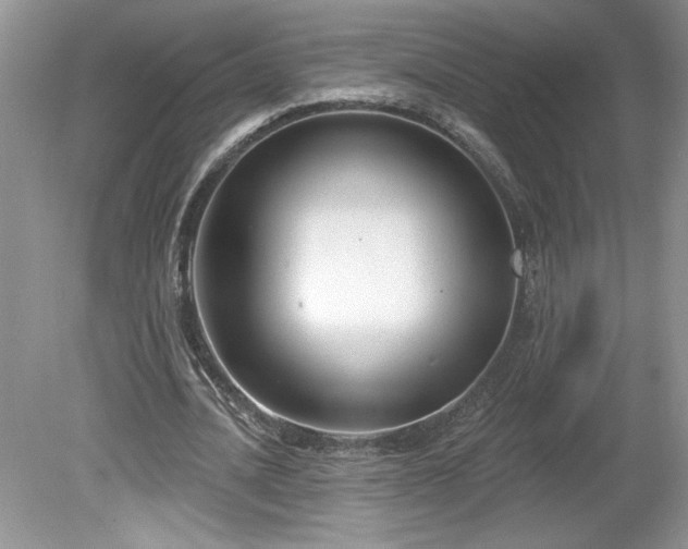X0000079580628200612081536