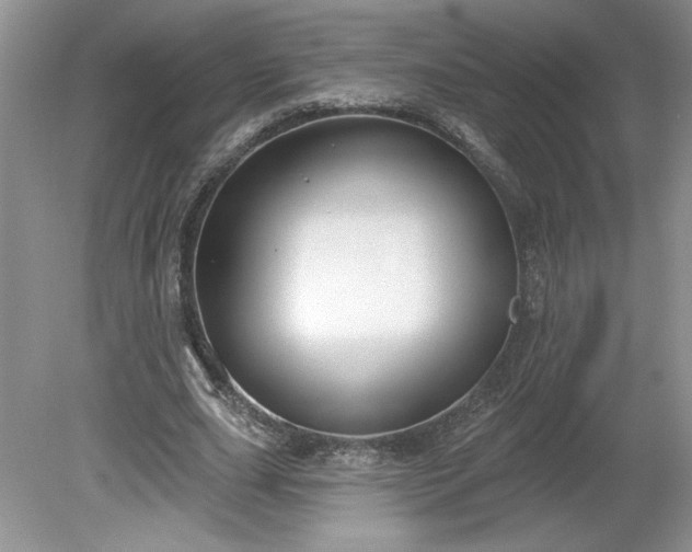 X0000079580631200612081536
