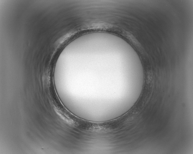 X0000079580632200612081536