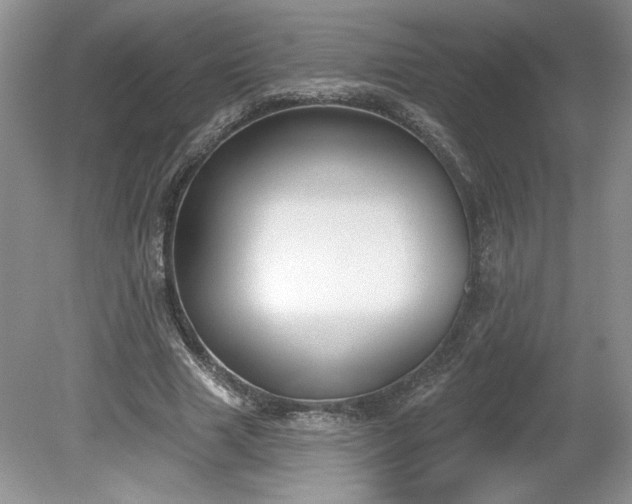X0000079580633200612081536