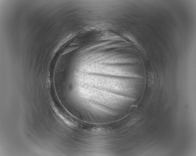 X0000079580634200612081536
