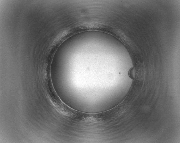 X0000079580635200612081536