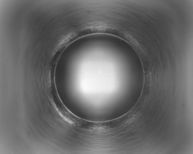 X0000079580638200612081536