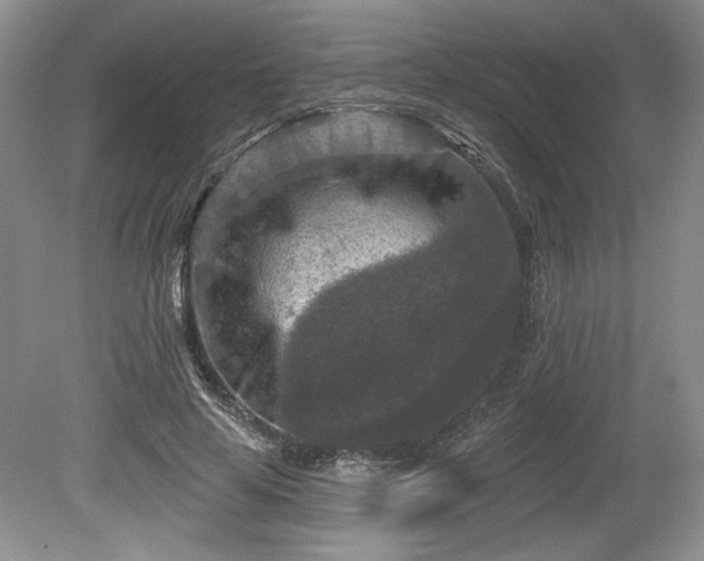 X0000079580641200612081536