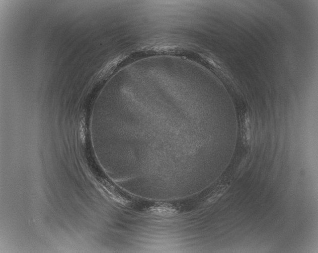 X0000079580644200612081536