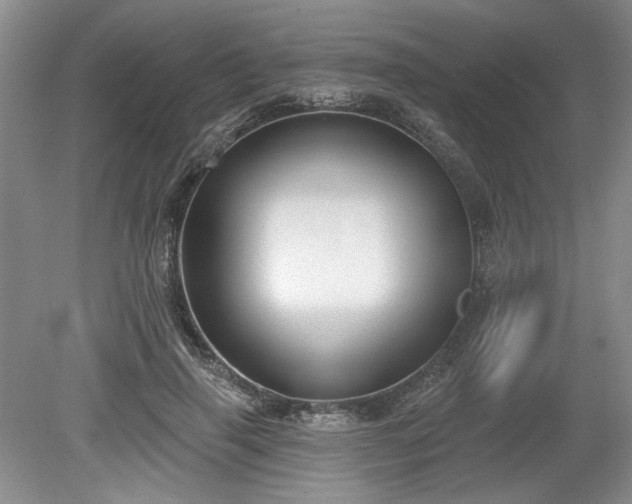 X0000079580645200612081536