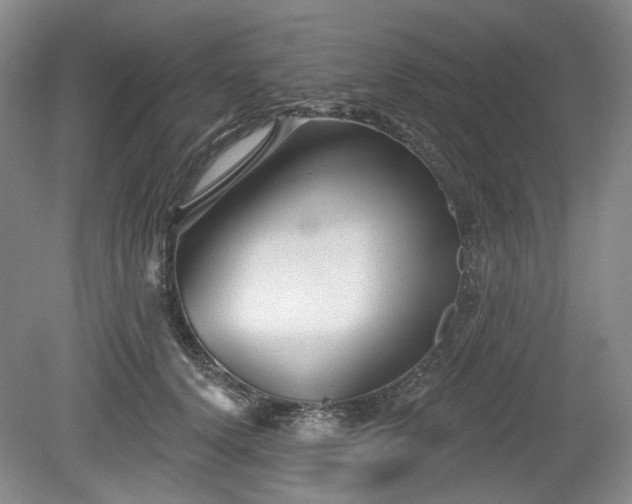 X0000079580656200612081536