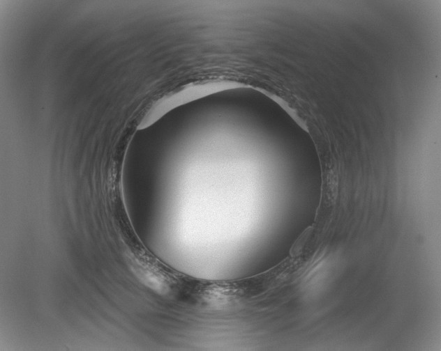X0000079580657200612081536