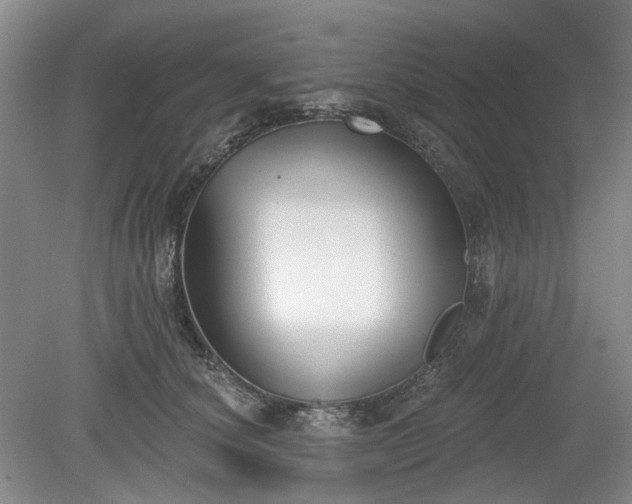 X0000079580660200612081536