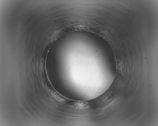 X0000079580662200612081537
