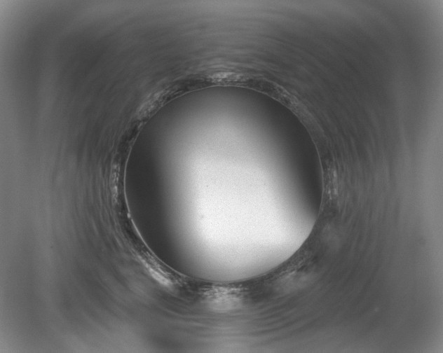 X0000079580664200612081537