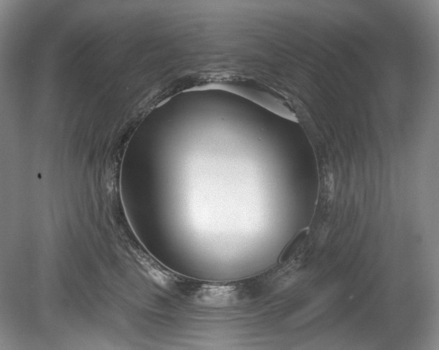 X0000079580665200612081537