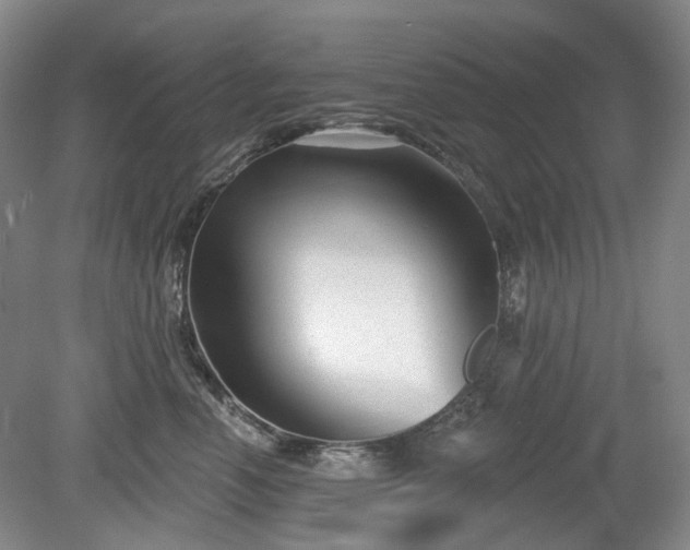 X0000079580666200612081537
