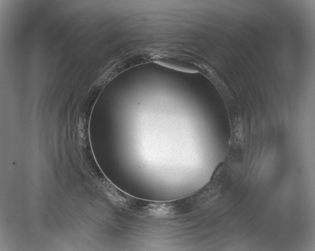 X0000079580667200612081537