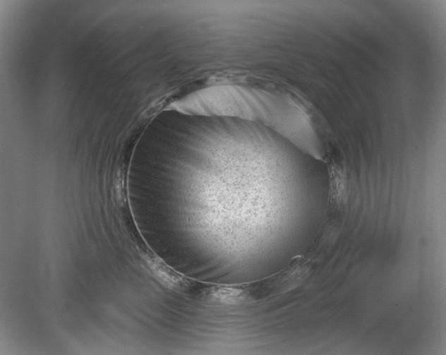 X0000079580669200612081537