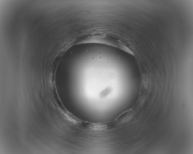 X0000079580670200612081537