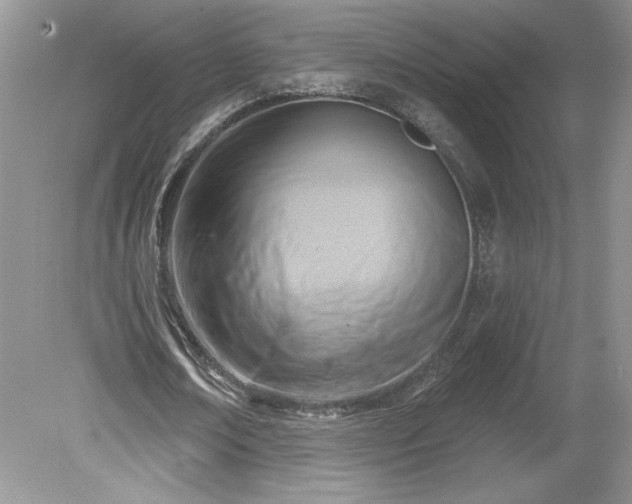 X0000079580674200612081536