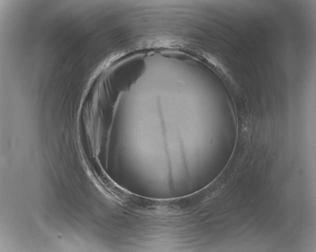 X0000079580678200612081536
