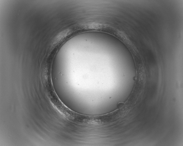 X0000079580683200612081536