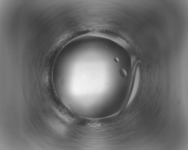 X0000079580687200612081536