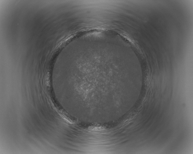 X0000079580689200612081536