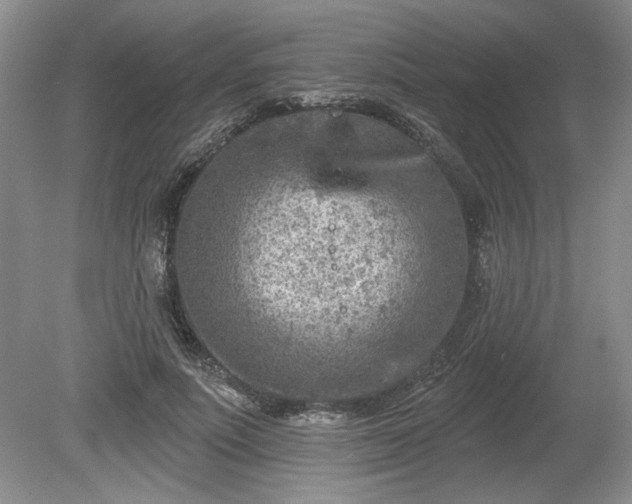 X0000079580691200612081536