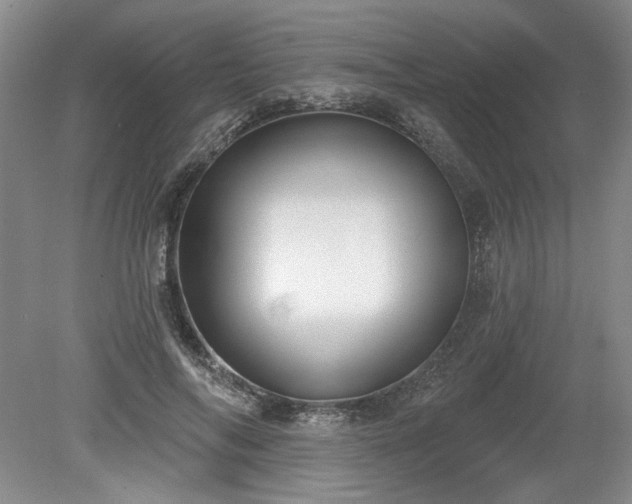 X0000079580694200612081536