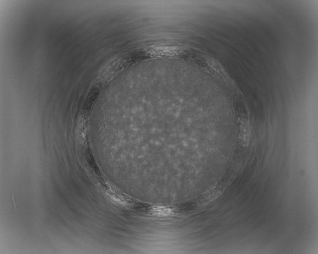 X0000079580701200612081535