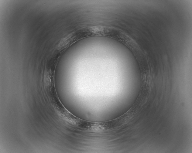 X0000079580702200612081535