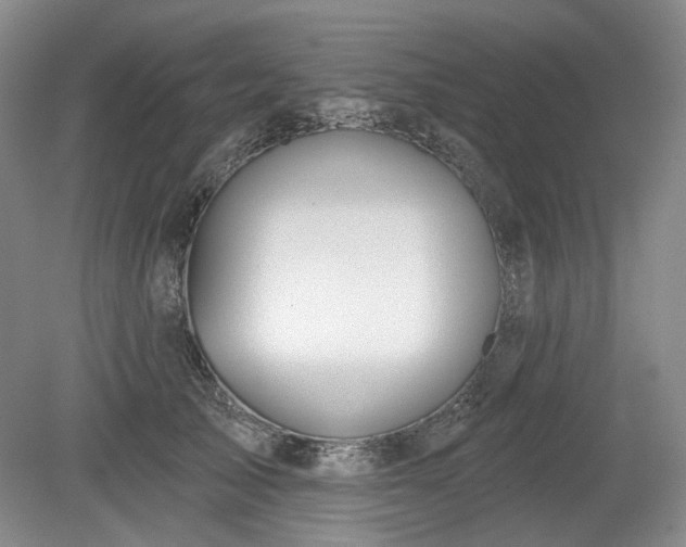 X0000079580705200612081535