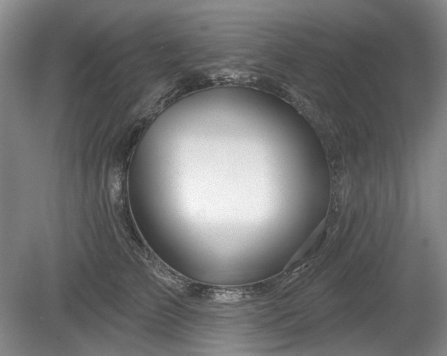 X0000079580709200612081535