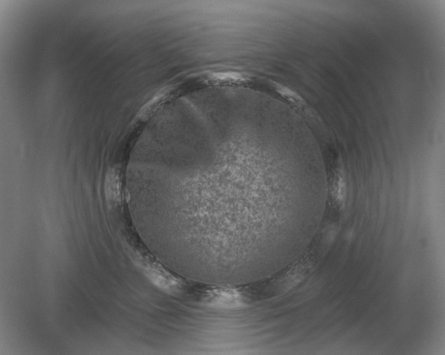 X0000079580715200612081535