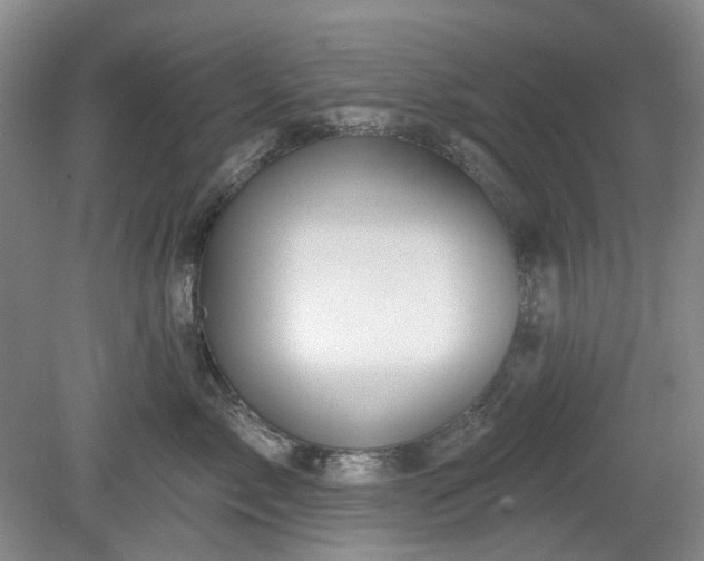 X0000079580717200612081535