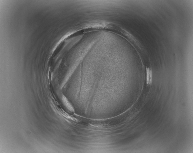 X0000079580723200612081534