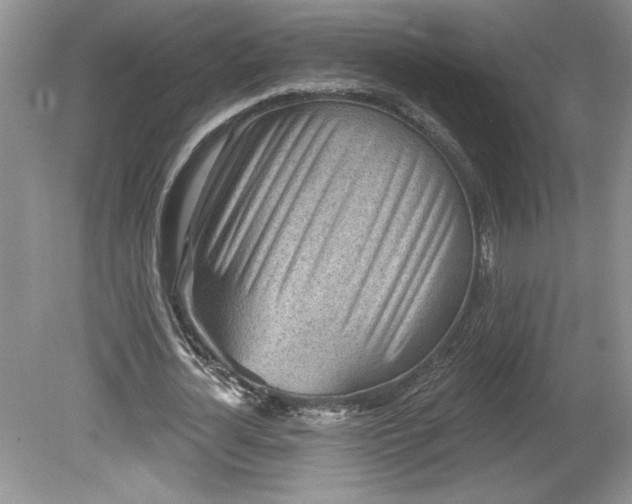 X0000079580724200612081534