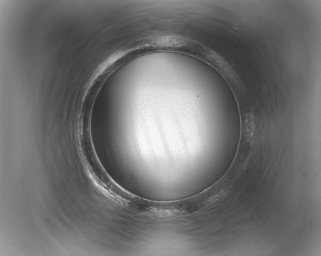 X0000079580726200612081534