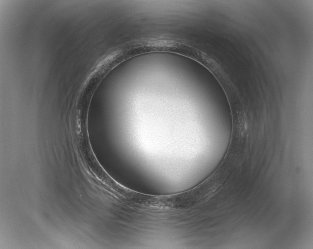 X0000079580731200612081534