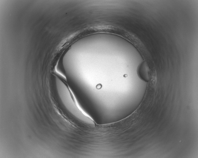 X0000079580732200612081534