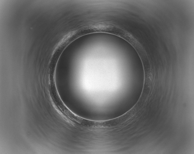 X0000079580734200612081535