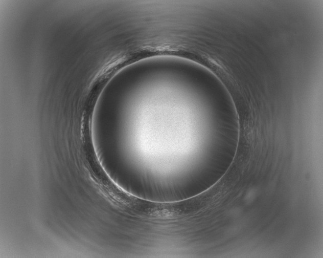X0000079580735200612081535
