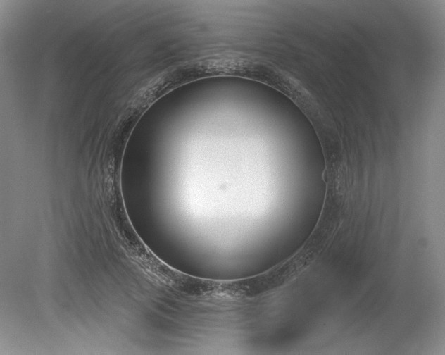 X0000079580737200612081535