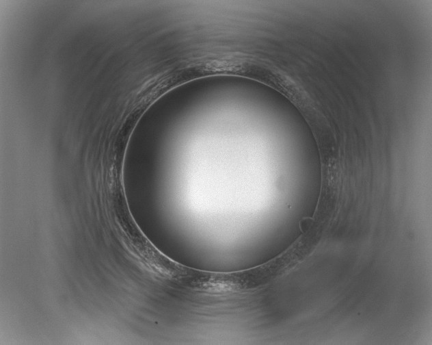 X0000079580741200612081535